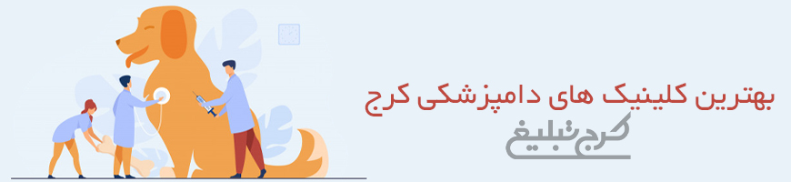 دامپزشکی و پت شاپ تهران